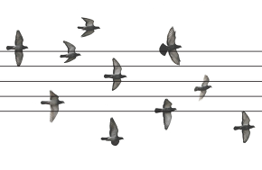 harmonium