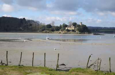 Le château du chêne vert