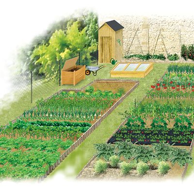 Organiser le potager en début d'année