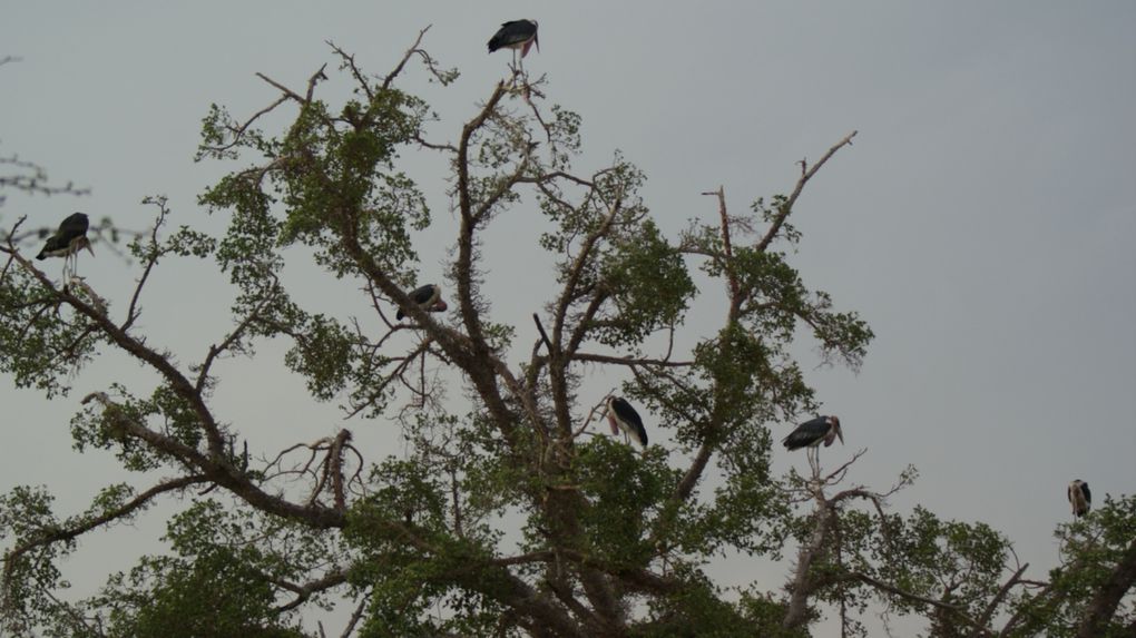 Album - Parc-Kruger