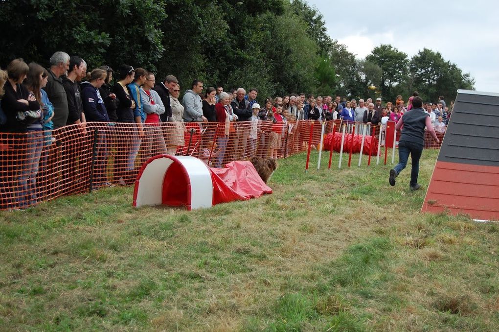 Album - Agrifete-Septembre-2012