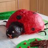 COCCINELLE BELLE BELLE