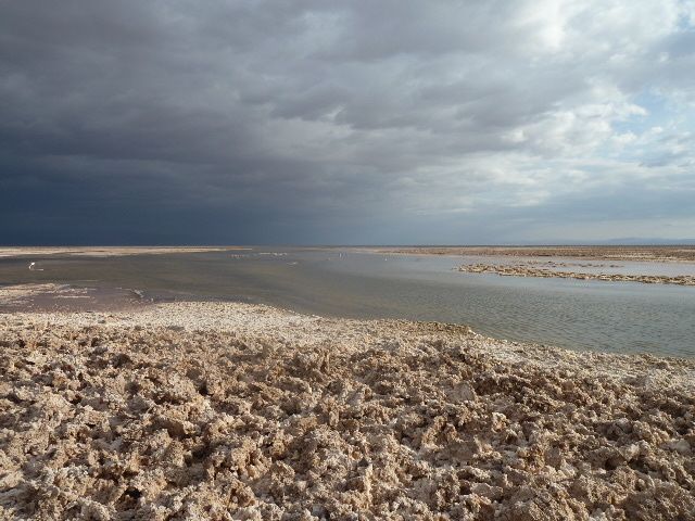 Album - 2011-ATACAMA-1