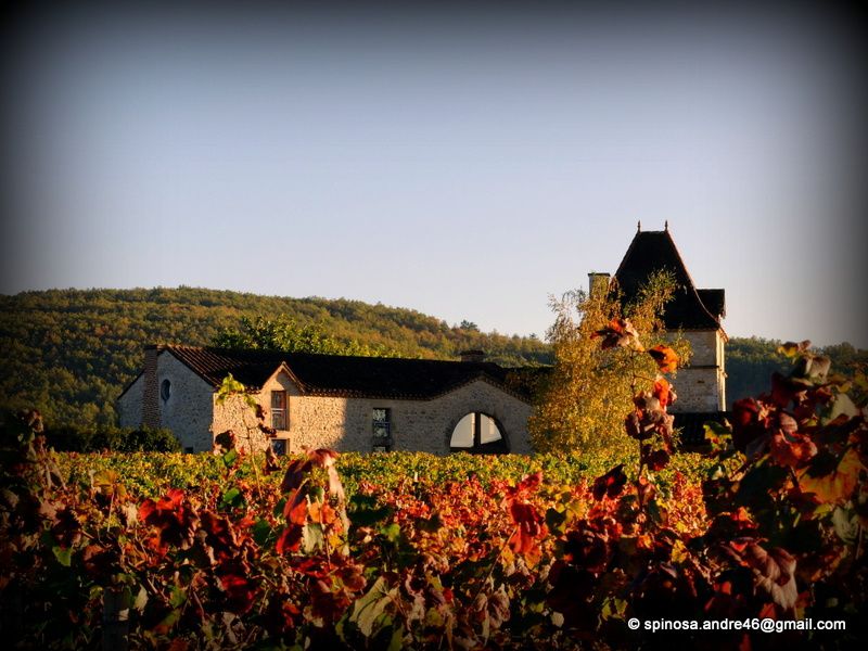 Sur la route du Cahors...des couleurs Feu, un rayonnement...