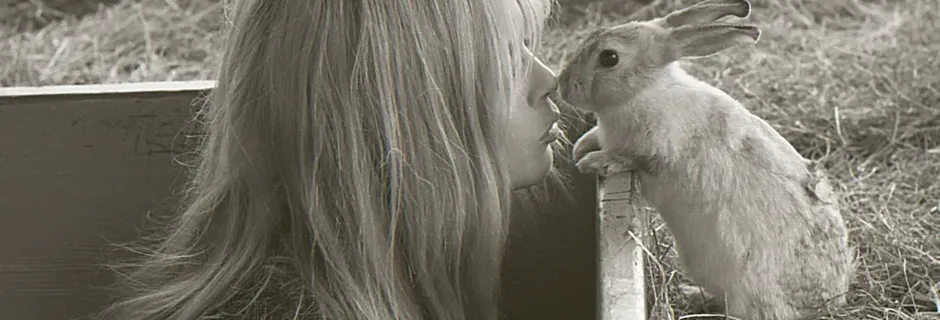 Brigitte Bardot offre des photos au profit de deux centres de secours aux animaux