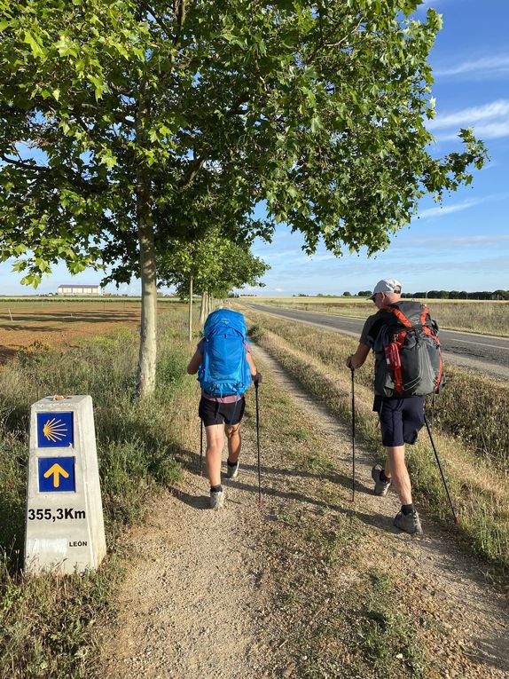 Étape 11 : Bercianos del Réal Camino - Reliegos