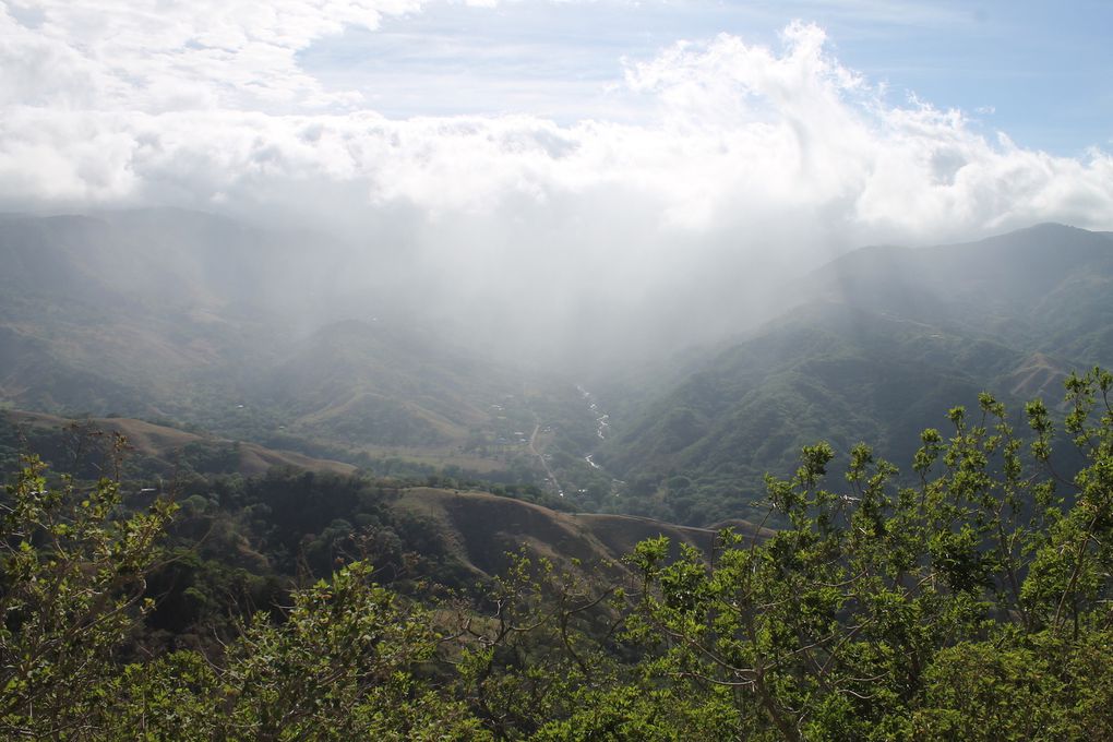 Parque Nacional Carara