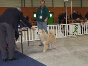 expos de nantes