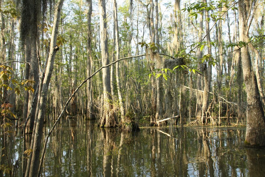 du 27 mars au 2 avril. Spring Break en Louisiane.