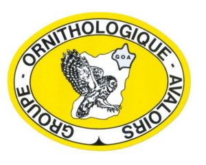 Groupe Ornithologique des Avaloirs