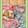 Debbie Cook - Cat & Dog