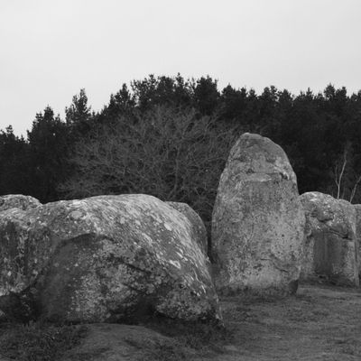 ... Carnac. Alignements de Menhirs ...