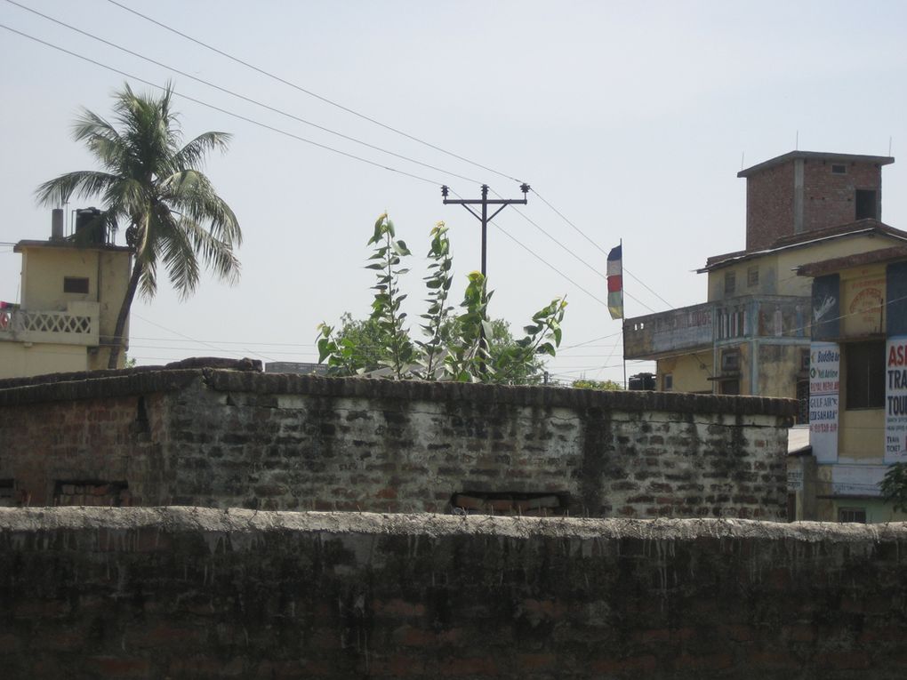 Album - Inde, Rishikesh