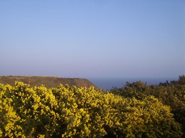 Loch Ness<span style="font-style: italic;">;</span> Edimburg; Loch Lomond; Saint Andrews; Dundee; Arbroath