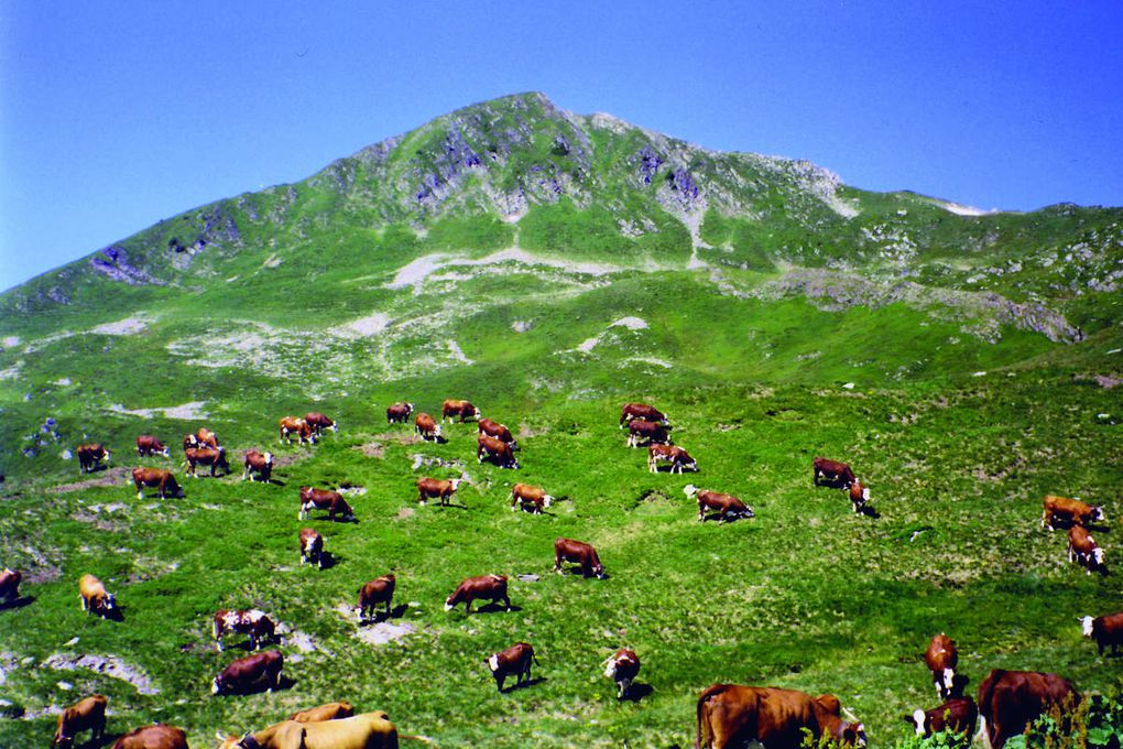 Le col des Mosses (Canton de Vaud / Suisse)...