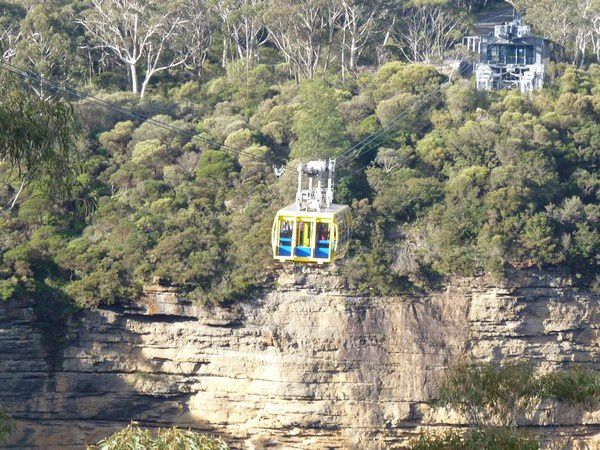 Album - Blue Mountains