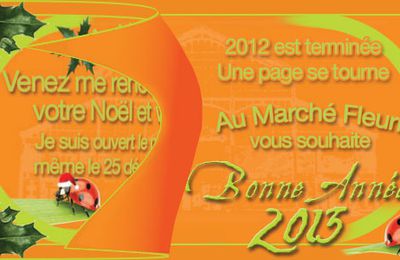 Bonne Année 2013