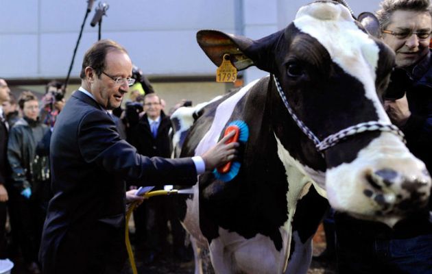 ET oui ce n'est pas seulement la croupe des vaches 