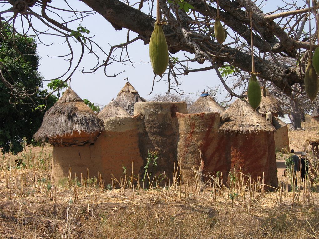 un petit pays africain mais qui est représentatif de tout ce que nous pouvons rencontrer en Afrique ocidentale