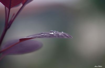 l'eau c'est beau .