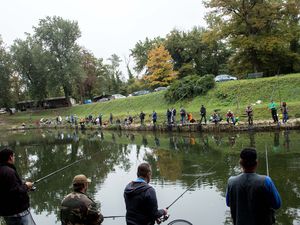Près de 80 pêcheurs se sont pressés autour de l'étang