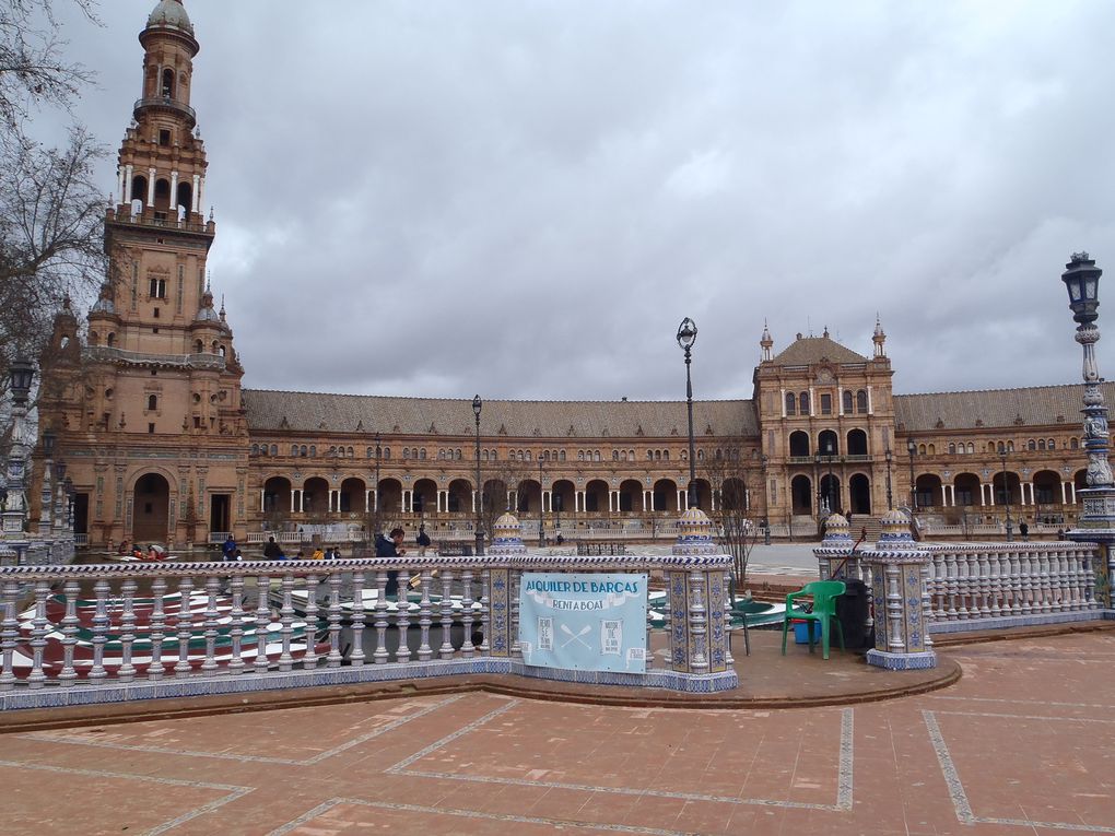 seville,4 jours pass'e là bas.Surment une ds plu beles viles que j'ai visité,où que l'on pose les yeux on en prend plein la vue.Le climat etait meilleur,ben qu'humide, ce qui m'aura permis de profiter de la ville au maximum.