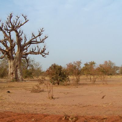 17 janvier 2007 : Ayoun El Atrous- Bamako