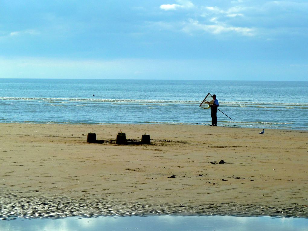 Basse-Normandie,2012