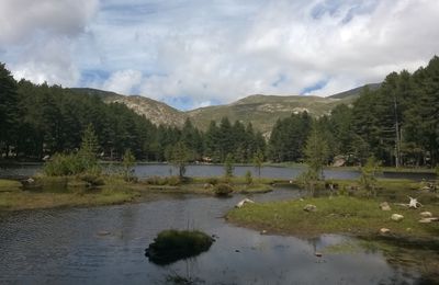 CORSE- Lac de creno