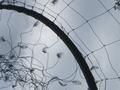 Le blog de arts-vivants