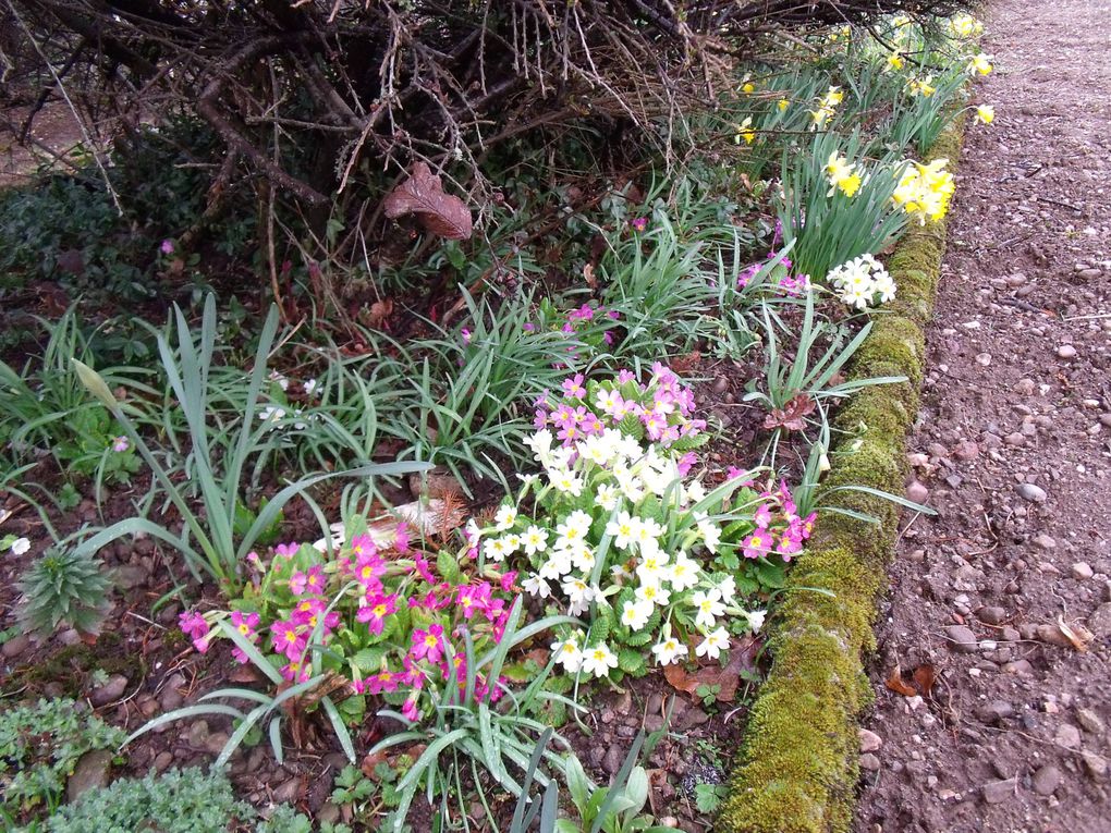 fleurs des villes et fleurs des champs