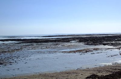 LES REMPARTS DE SAINT-MALO / HORAIRES DES MAREES