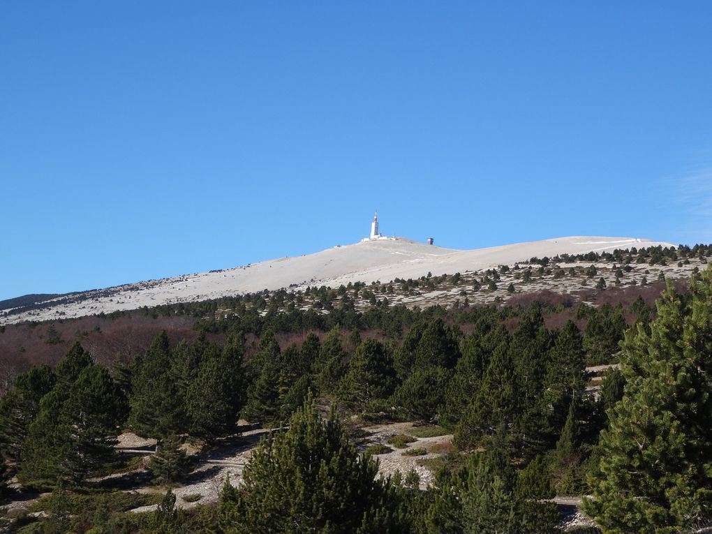 Nos deux Stumpjumper 6 fattie Specialized au Mont Ventoux au départ de Bédoin (27/12/2016)