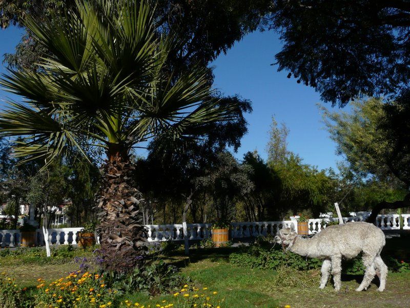 Album - Arequipa-ville-et-alentours