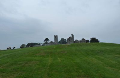 Entre fondations romaines et spécificités insulaires, paysages de l'Eglise médiévale d'Irlande