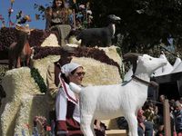 Aubagne, la cavalcade  2016 2/2