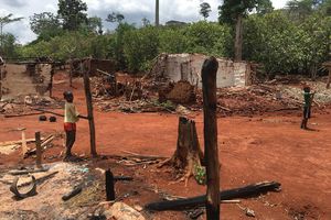 Farmers Face New Round of Eviction from Protected Forests in Côte d’Ivoire