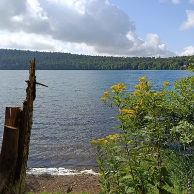 Autour du Lac du Bouchet / Balade en Haute-Loire