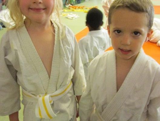 Nos petits judokas en herbe - 20 juin 2014