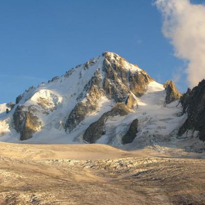 Un parfait cocktail pour buter au Chardonnet