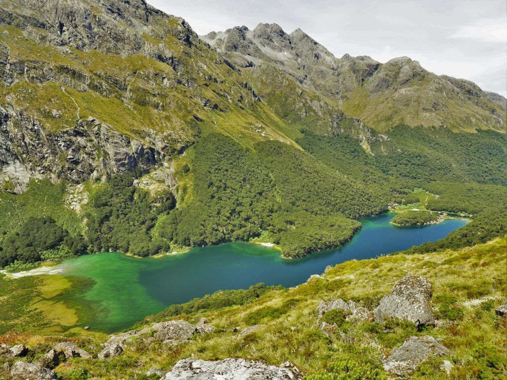 Sur la Routeburn Track, une des fameuses 9 "Greats Walks". 