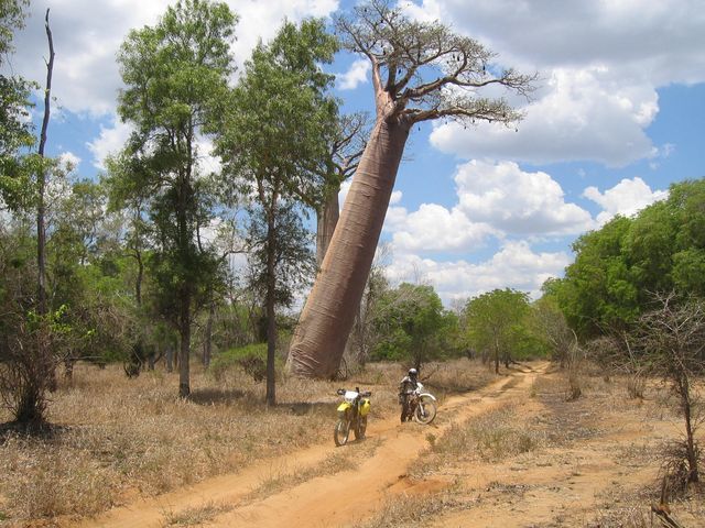 TULEAR MORONDAVA MAINTIRANO MAJUNGA