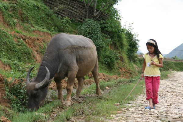 Album - Vietnam-2