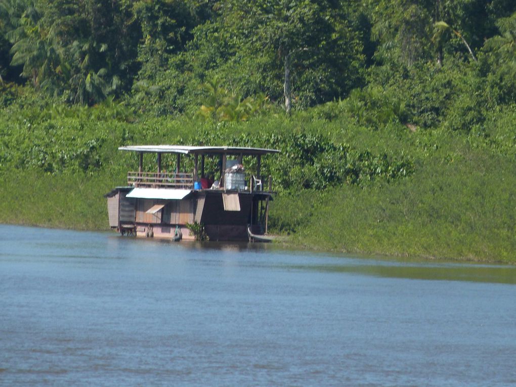 Album - GUYANE - Mana