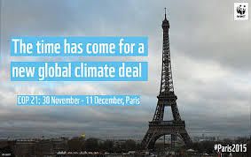 Paris Climate Conference tries to find out  solutions to reduce global warming 