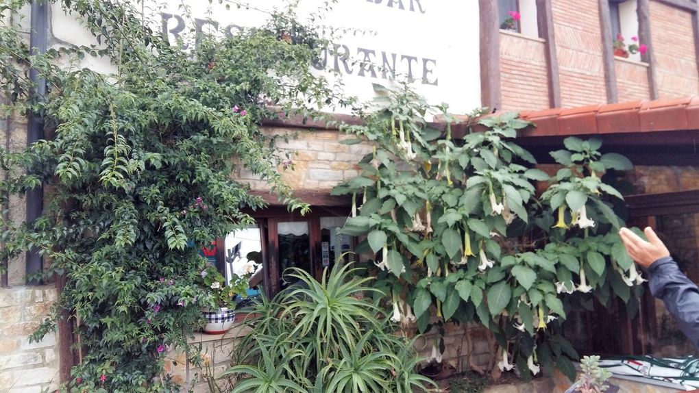 Déjeuner dans la Ferme auberge de SAKA