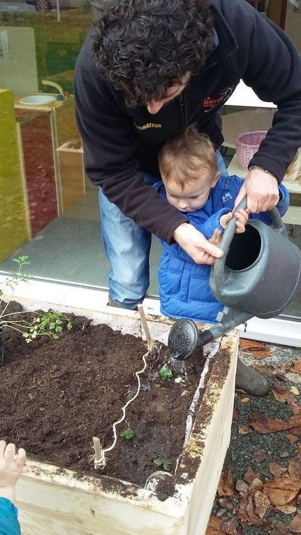 Nous avons arrosé nos plants.