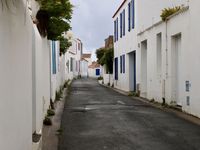 Les bateaux divertissent le port, les rues défilent avec langueur et s'étirent en couleur, les souris assomment les chats qui préfèrent jouer avec les papillons, les figuiers se reposent depuis un siècle et Van Gogh disserte sur le coeur des hommes....c'est aussi ça Port Joinville !!! 