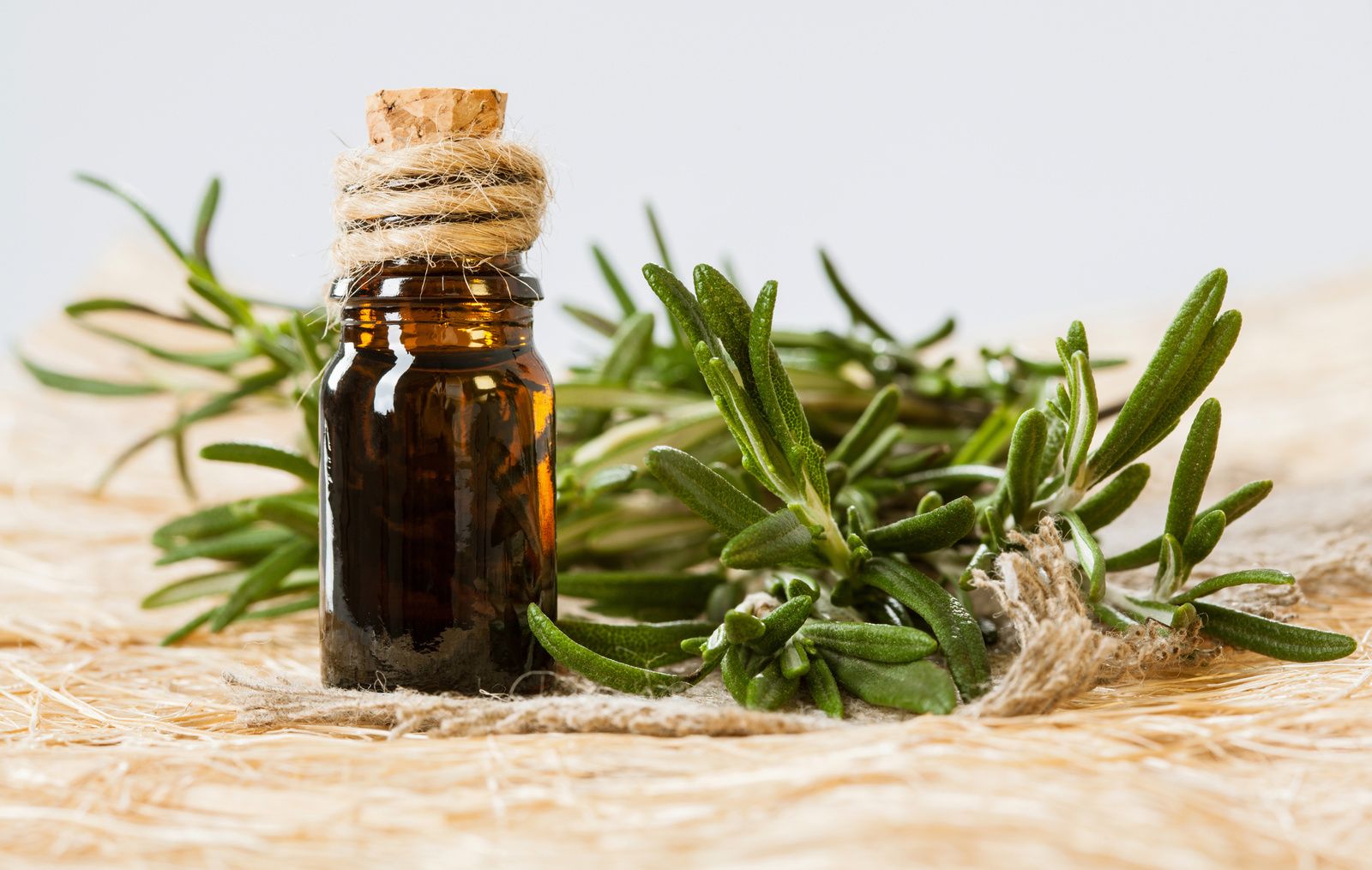   Rosemary perfumes