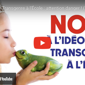 Circulaire Transgenre à l'École : attention danger ! (visioconférence) - Pangolins et mantilles